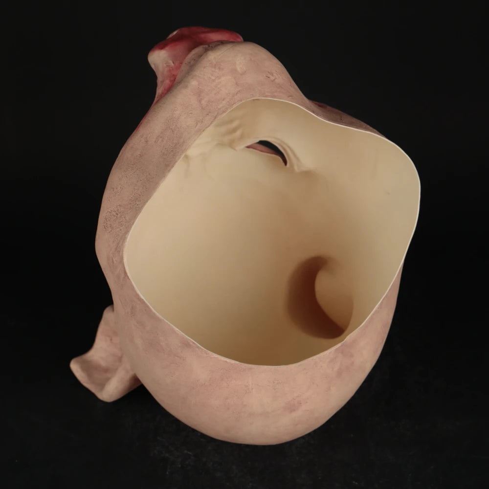 Masque de Cochon Psychopathe en Latex – Image 6