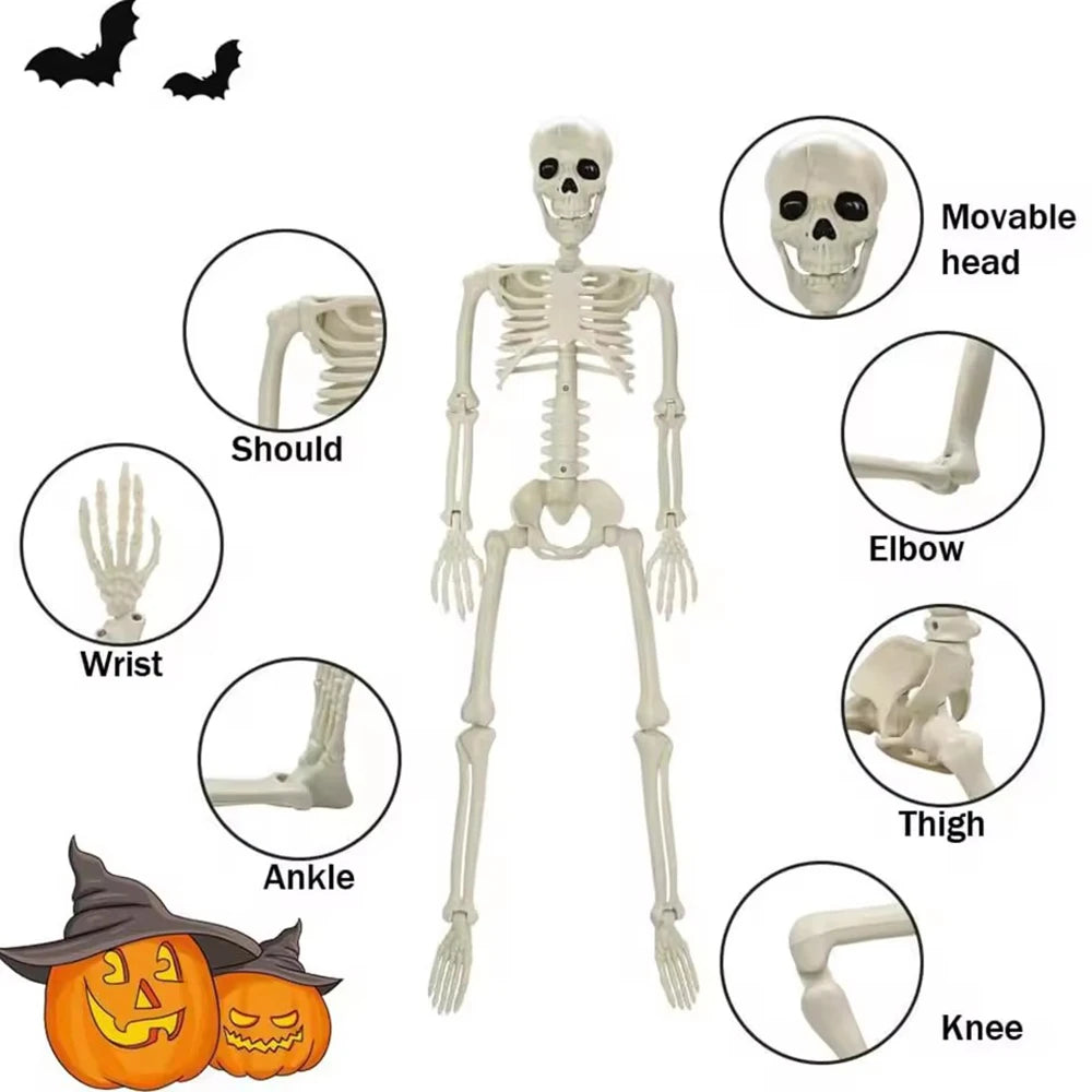 Squelette Articulé en Plastique d'Halloween – Image 5