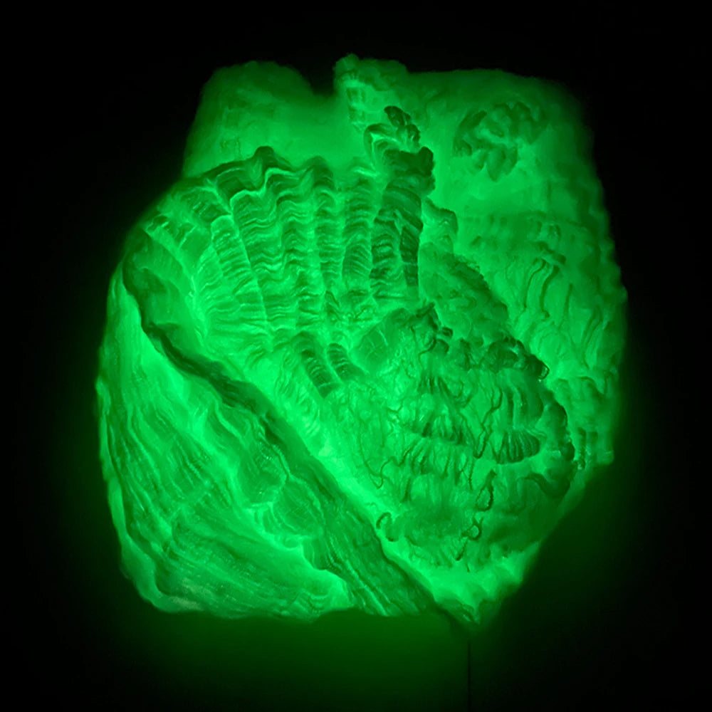 Toile d'Araignée Luminescente Verte avec Araignées – Image 6