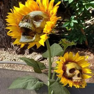 Tournesol Gothique à Crâne Vieilli