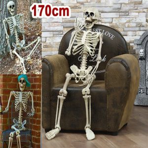 Grand Squelette Articulé de 170cm pour Halloween